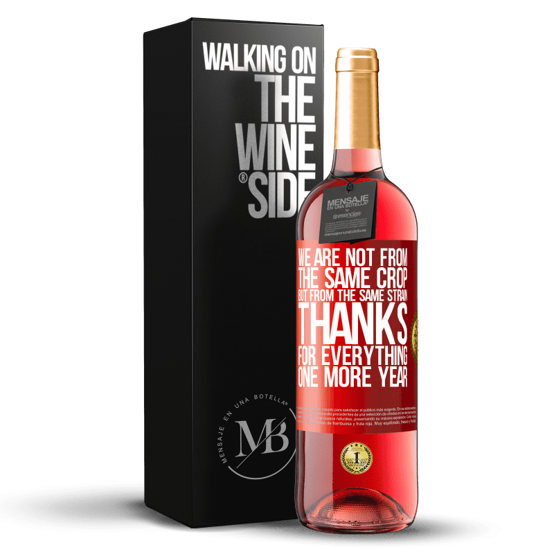 29,95 € Free Shipping | Rosé Wine ROSÉ Edition We are not from the same crop, but from the same strain. Thanks for everything, one more year Red Label. Customizable label Young wine Harvest 2023 Tempranillo