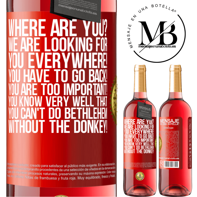 29,95 € Free Shipping | Rosé Wine ROSÉ Edition Where are you? We are looking for you everywhere! You have to go back! You are too important! You know very well that you Red Label. Customizable label Young wine Harvest 2023 Tempranillo