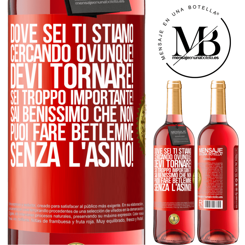 29,95 € Spedizione Gratuita | Vino rosato Edizione ROSÉ Dove sei Ti stiamo cercando ovunque! Devi tornare! Sei troppo importante! Sai benissimo che non puoi fare Betlemme senza Etichetta Rossa. Etichetta personalizzabile Vino giovane Raccogliere 2023 Tempranillo