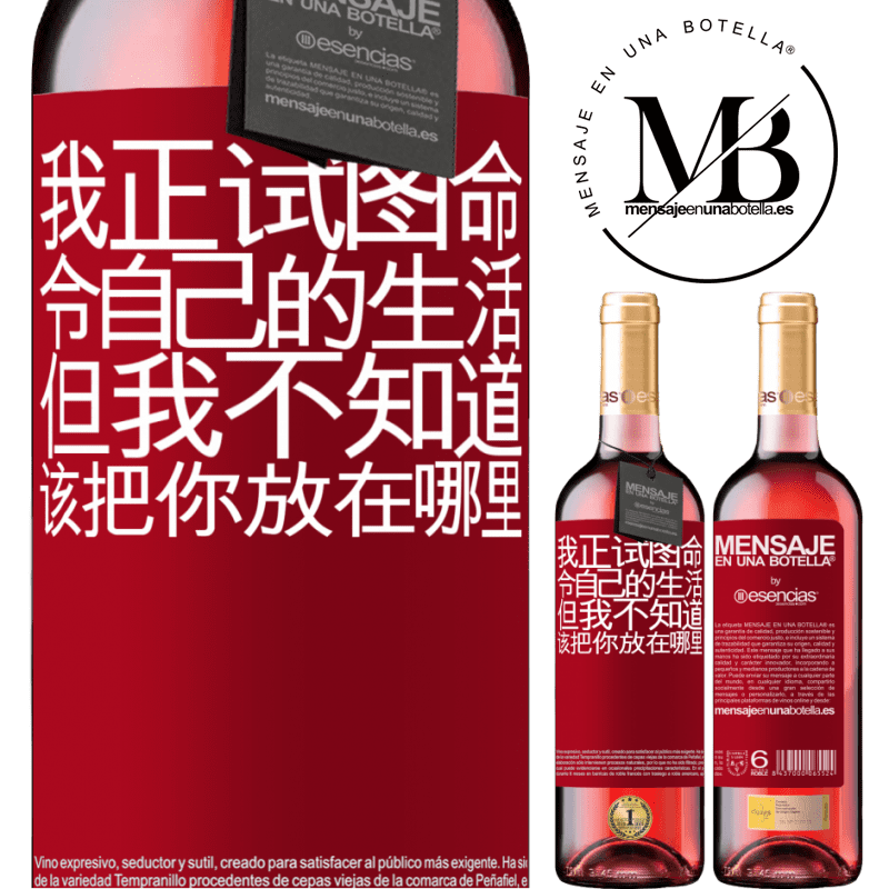 «我正试图命令自己的生活，但我不知道该把你放在哪里» ROSÉ版