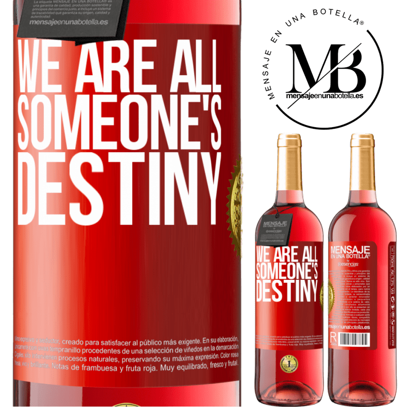 29,95 € Free Shipping | Rosé Wine ROSÉ Edition We are all someone's destiny Red Label. Customizable label Young wine Harvest 2022 Tempranillo