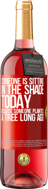 «今天有人坐在树荫下，因为很久以前有人种了一棵树» ROSÉ版