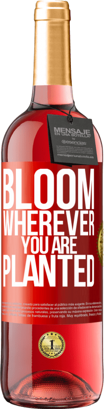 «Цветет везде, где вы посажены» Издание ROSÉ