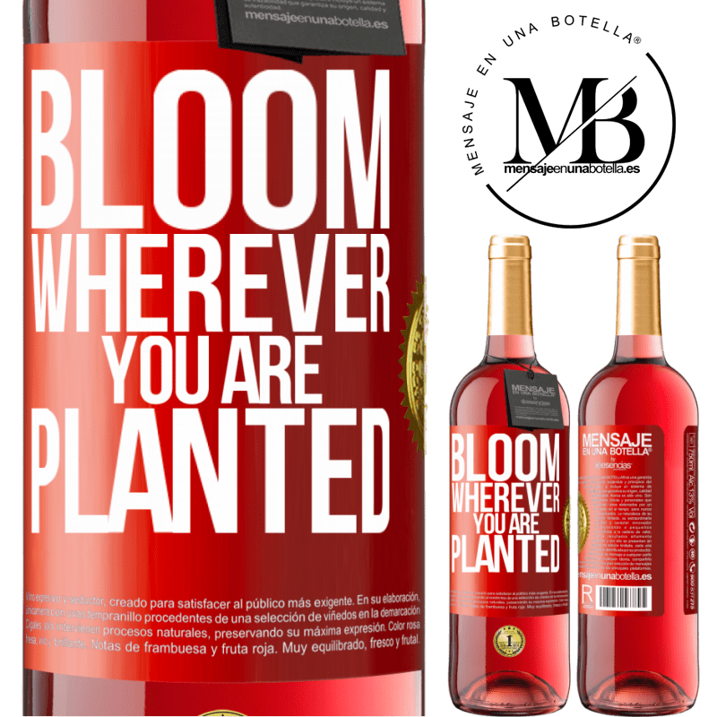 29,95 € Free Shipping | Rosé Wine ROSÉ Edition It blooms wherever you are planted Red Label. Customizable label Young wine Harvest 2022 Tempranillo