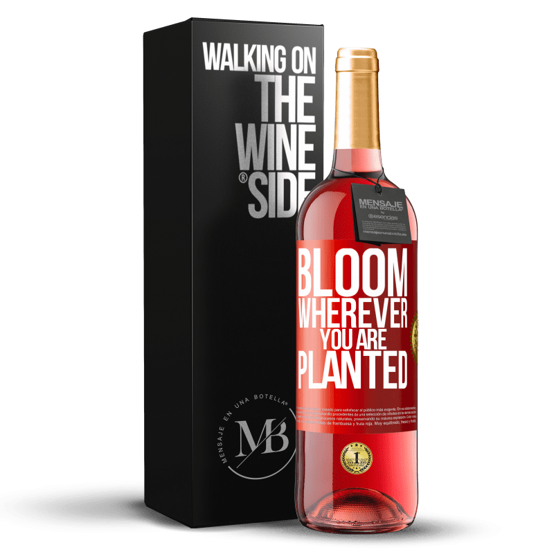 29,95 € Free Shipping | Rosé Wine ROSÉ Edition It blooms wherever you are planted Red Label. Customizable label Young wine Harvest 2022 Tempranillo