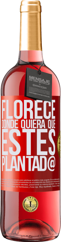 29,95 € | Vino Rosado Edición ROSÉ Florece donde quiera que estés plantad@ Etiqueta Roja. Etiqueta personalizable Vino joven Cosecha 2023 Tempranillo