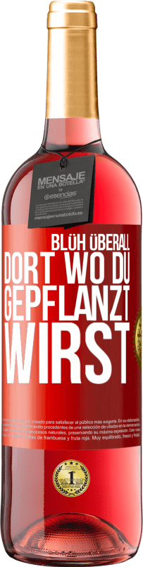 29,95 € | Roséwein ROSÉ Ausgabe Blüh überall dort, wo du gepflanzt wirst Rote Markierung. Anpassbares Etikett Junger Wein Ernte 2024 Tempranillo