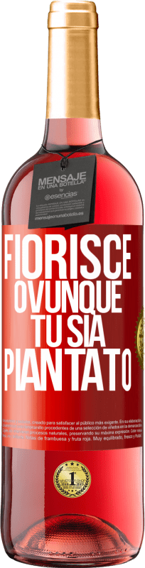 29,95 € | Vino rosato Edizione ROSÉ Fiorisce ovunque tu sia piantato Etichetta Rossa. Etichetta personalizzabile Vino giovane Raccogliere 2024 Tempranillo