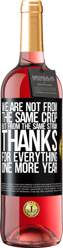 29,95 € | Rosé Wine ROSÉ Edition We are not from the same crop, but from the same strain. Thanks for everything, one more year Black Label. Customizable label Young wine Harvest 2023 Tempranillo