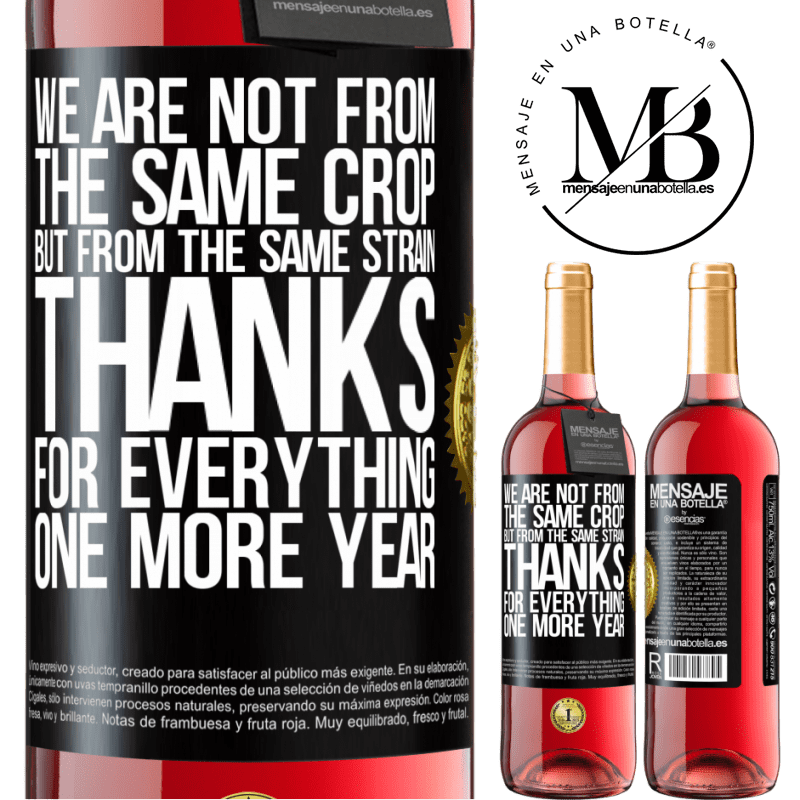 29,95 € Free Shipping | Rosé Wine ROSÉ Edition We are not from the same crop, but from the same strain. Thanks for everything, one more year Black Label. Customizable label Young wine Harvest 2022 Tempranillo