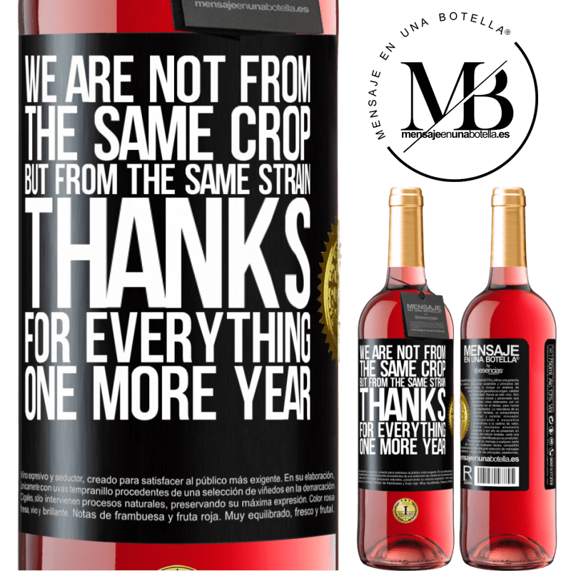 29,95 € Free Shipping | Rosé Wine ROSÉ Edition We are not from the same crop, but from the same strain. Thanks for everything, one more year Black Label. Customizable label Young wine Harvest 2023 Tempranillo