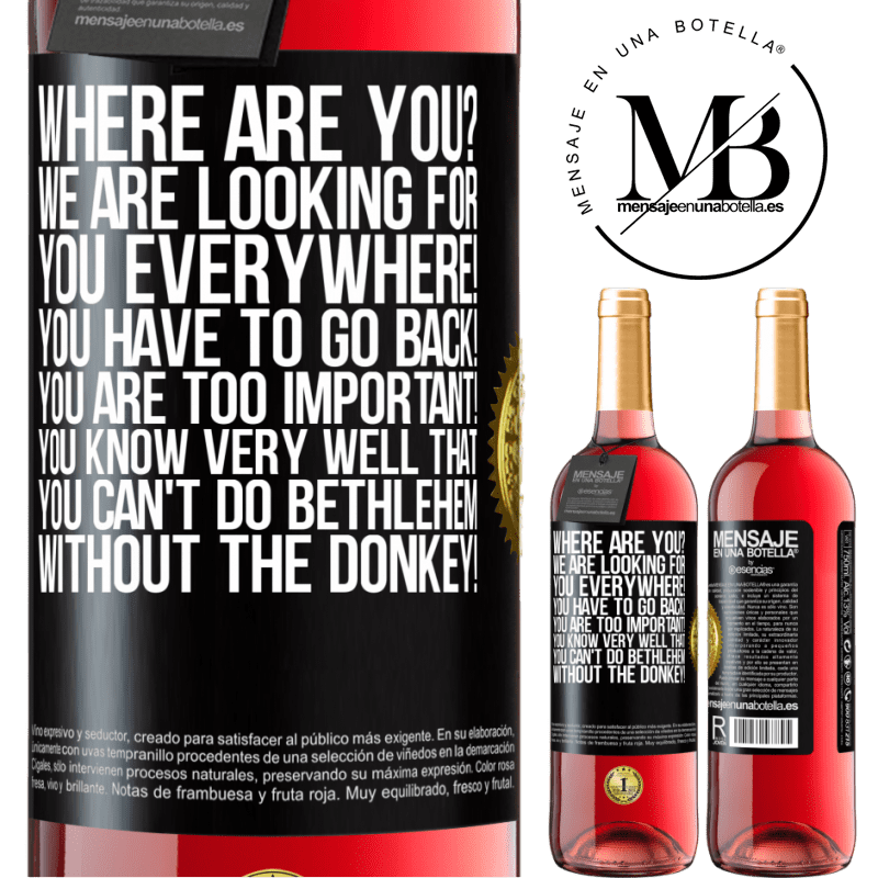 29,95 € Free Shipping | Rosé Wine ROSÉ Edition Where are you? We are looking for you everywhere! You have to go back! You are too important! You know very well that you Black Label. Customizable label Young wine Harvest 2023 Tempranillo