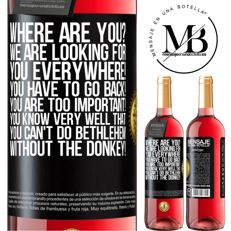 29,95 € Free Shipping | Rosé Wine ROSÉ Edition Where are you? We are looking for you everywhere! You have to go back! You are too important! You know very well that you Black Label. Customizable label Young wine Harvest 2025 Tempranillo