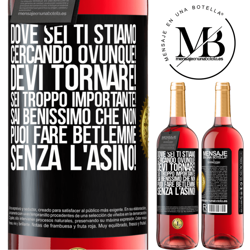 29,95 € Spedizione Gratuita | Vino rosato Edizione ROSÉ Dove sei Ti stiamo cercando ovunque! Devi tornare! Sei troppo importante! Sai benissimo che non puoi fare Betlemme senza Etichetta Nera. Etichetta personalizzabile Vino giovane Raccogliere 2023 Tempranillo