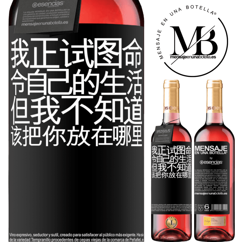 «我正试图命令自己的生活，但我不知道该把你放在哪里» ROSÉ版