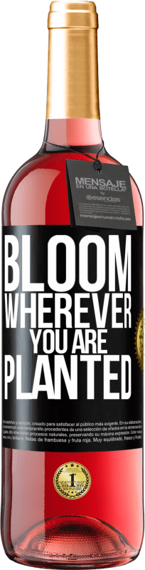 29,95 € | Rosé Wine ROSÉ Edition It blooms wherever you are planted Black Label. Customizable label Young wine Harvest 2023 Tempranillo