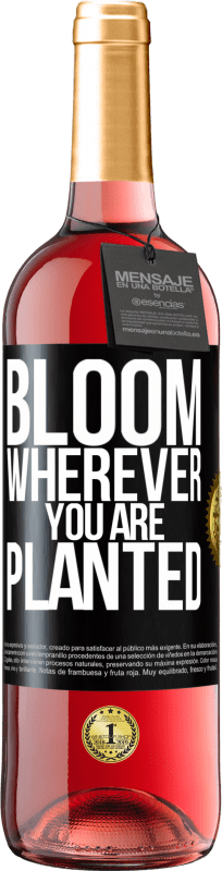 29,95 € | Rosé Wine ROSÉ Edition It blooms wherever you are planted Black Label. Customizable label Young wine Harvest 2024 Tempranillo