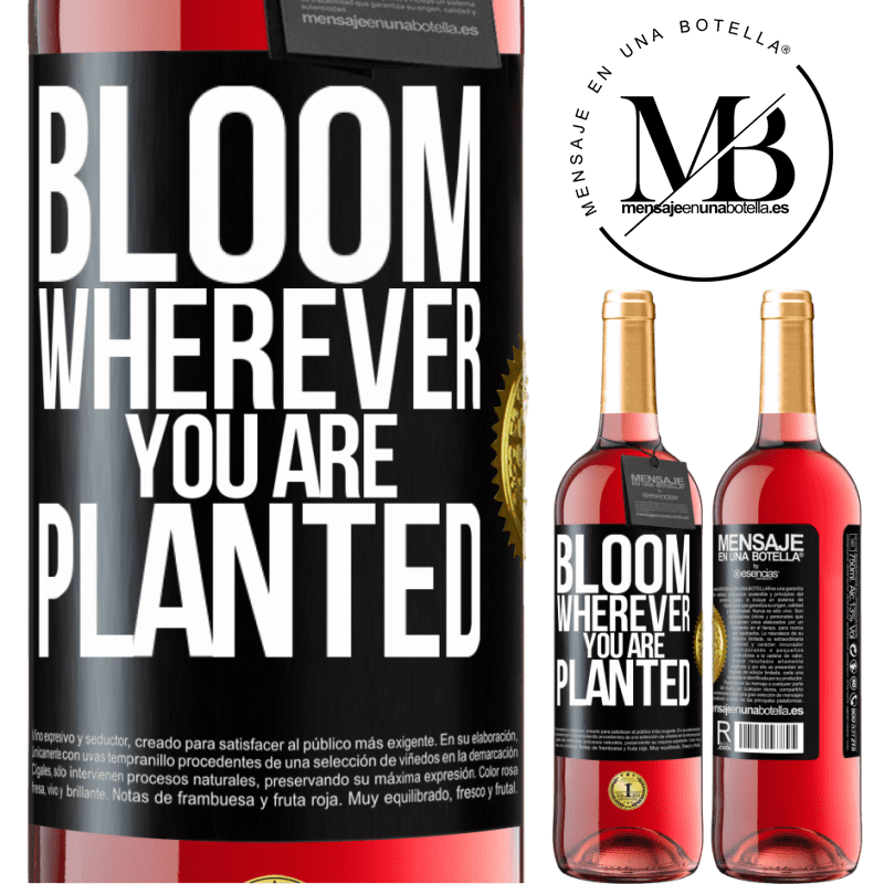 29,95 € Free Shipping | Rosé Wine ROSÉ Edition It blooms wherever you are planted Black Label. Customizable label Young wine Harvest 2022 Tempranillo