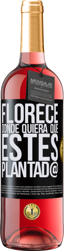 29,95 € | Vino Rosado Edición ROSÉ Florece donde quiera que estés plantad@ Etiqueta Negra. Etiqueta personalizable Vino joven Cosecha 2024 Tempranillo