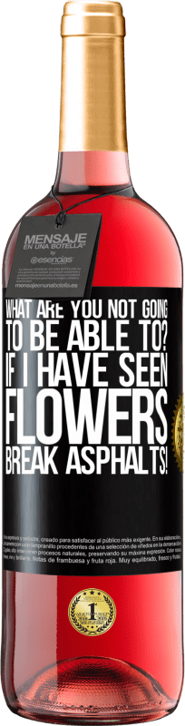 «what are you not going to be able to? If I have seen flowers break asphalts!» ROSÉ Edition