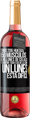 Irónicos