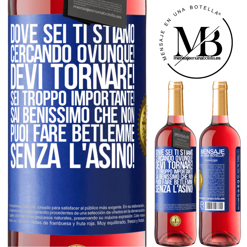 29,95 € Spedizione Gratuita | Vino rosato Edizione ROSÉ Dove sei Ti stiamo cercando ovunque! Devi tornare! Sei troppo importante! Sai benissimo che non puoi fare Betlemme senza Etichetta Blu. Etichetta personalizzabile Vino giovane Raccogliere 2023 Tempranillo