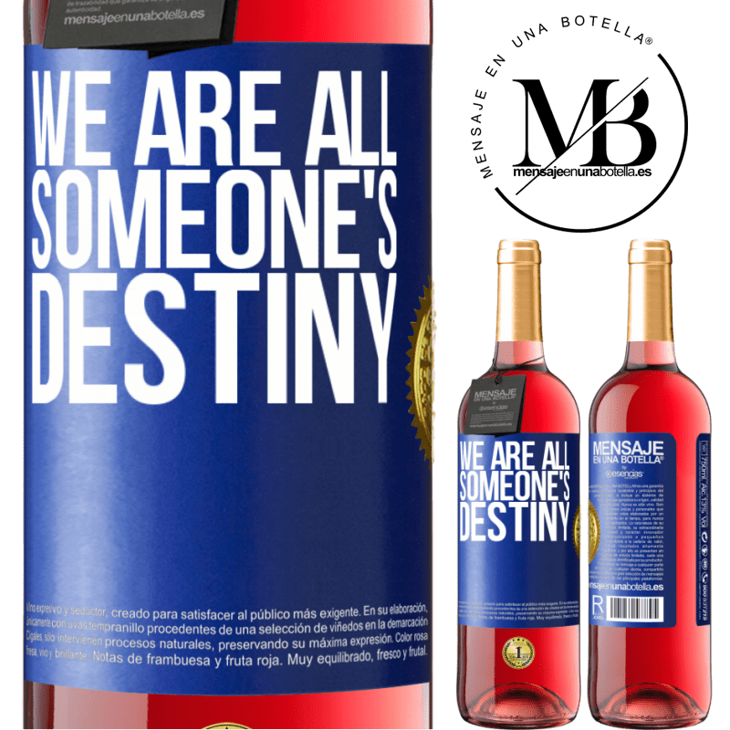 29,95 € Free Shipping | Rosé Wine ROSÉ Edition We are all someone's destiny Blue Label. Customizable label Young wine Harvest 2022 Tempranillo