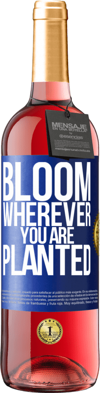 29,95 € | Rosé Wine ROSÉ Edition It blooms wherever you are planted Blue Label. Customizable label Young wine Harvest 2023 Tempranillo