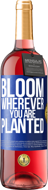 29,95 € | Rosé Wine ROSÉ Edition It blooms wherever you are planted Blue Label. Customizable label Young wine Harvest 2024 Tempranillo