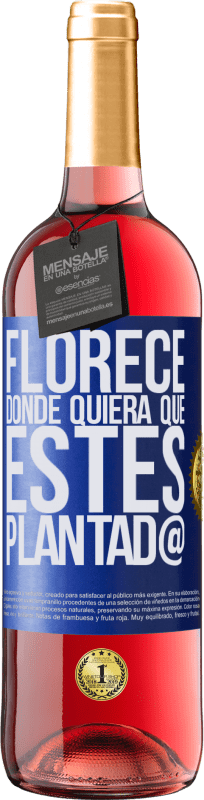 29,95 € Envío gratis | Vino Rosado Edición ROSÉ Florece donde quiera que estés plantad@ Etiqueta Azul. Etiqueta personalizable Vino joven Cosecha 2025 Tempranillo