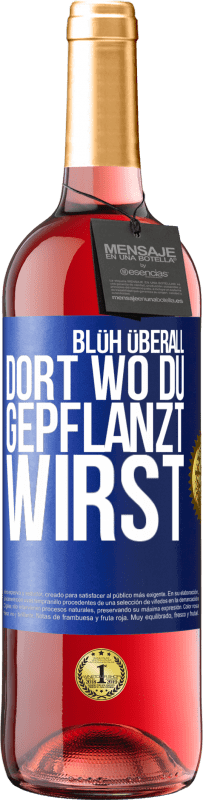29,95 € | Roséwein ROSÉ Ausgabe Blüh überall dort, wo du gepflanzt wirst Blaue Markierung. Anpassbares Etikett Junger Wein Ernte 2023 Tempranillo
