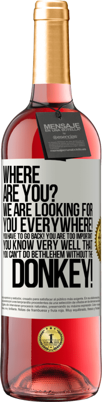 29,95 € | Rosé Wine ROSÉ Edition Where are you? We are looking for you everywhere! You have to go back! You are too important! You know very well that you White Label. Customizable label Young wine Harvest 2023 Tempranillo