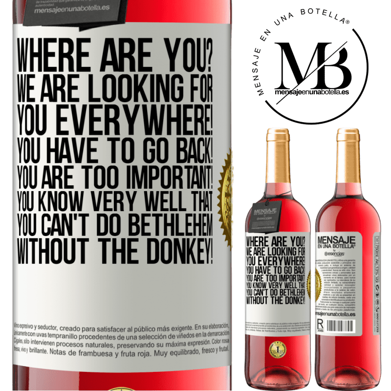 29,95 € Free Shipping | Rosé Wine ROSÉ Edition Where are you? We are looking for you everywhere! You have to go back! You are too important! You know very well that you White Label. Customizable label Young wine Harvest 2023 Tempranillo