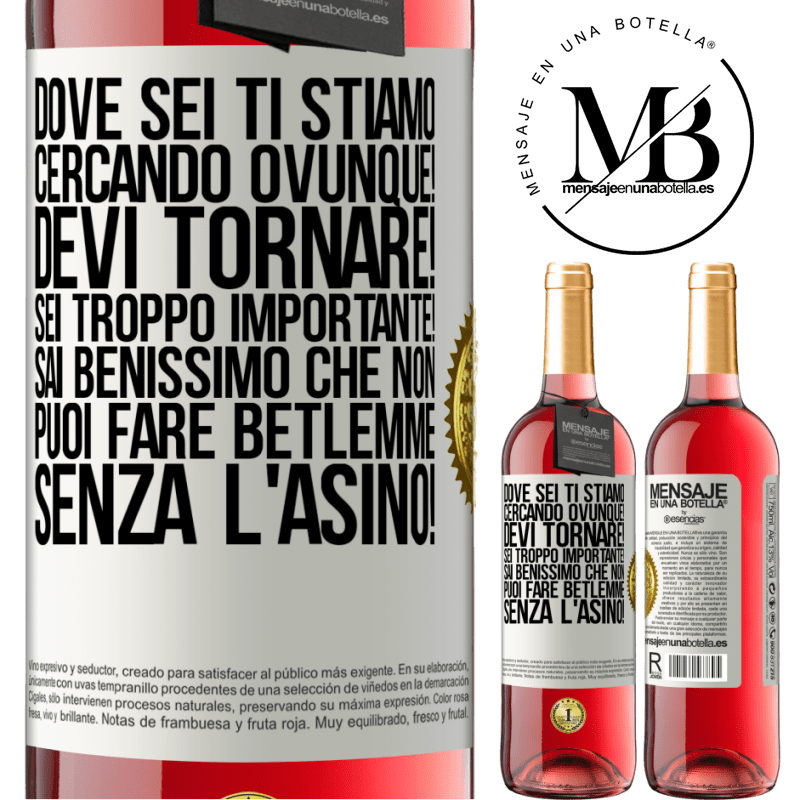 29,95 € Spedizione Gratuita | Vino rosato Edizione ROSÉ Dove sei Ti stiamo cercando ovunque! Devi tornare! Sei troppo importante! Sai benissimo che non puoi fare Betlemme senza Etichetta Bianca. Etichetta personalizzabile Vino giovane Raccogliere 2023 Tempranillo