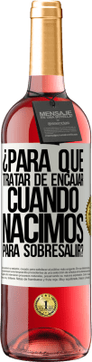 Negocios