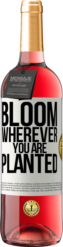 29,95 € Бесплатная доставка | Розовое вино Издание ROSÉ Цветет везде, где вы посажены Белая этикетка. Настраиваемая этикетка Молодое вино Урожай 2025 Tempranillo