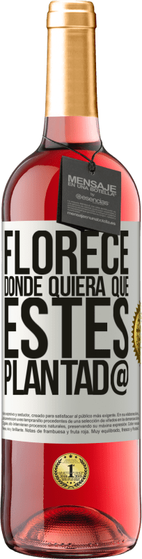 29,95 € | Vino Rosado Edición ROSÉ Florece donde quiera que estés plantad@ Etiqueta Blanca. Etiqueta personalizable Vino joven Cosecha 2024 Tempranillo