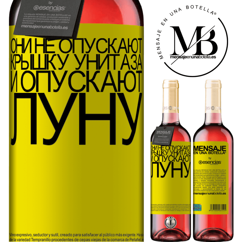 «Они не опускают крышку унитаза и опускают луну» Издание ROSÉ