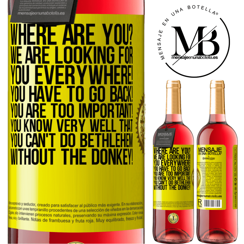 29,95 € Free Shipping | Rosé Wine ROSÉ Edition Where are you? We are looking for you everywhere! You have to go back! You are too important! You know very well that you Yellow Label. Customizable label Young wine Harvest 2023 Tempranillo