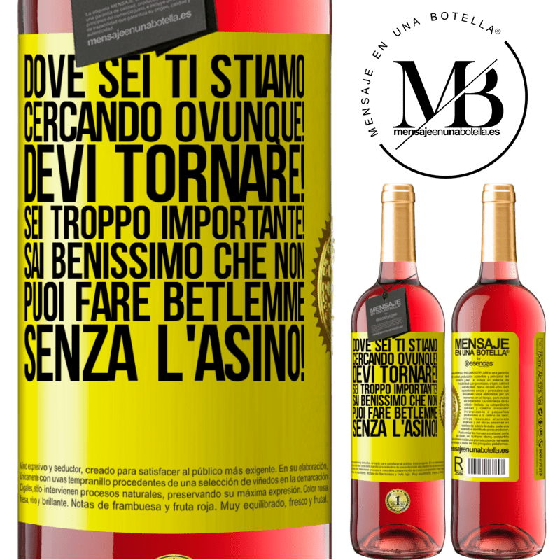 29,95 € Spedizione Gratuita | Vino rosato Edizione ROSÉ Dove sei Ti stiamo cercando ovunque! Devi tornare! Sei troppo importante! Sai benissimo che non puoi fare Betlemme senza Etichetta Gialla. Etichetta personalizzabile Vino giovane Raccogliere 2023 Tempranillo