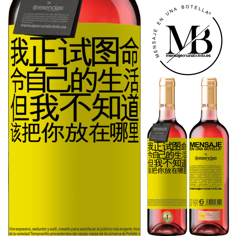 «我正试图命令自己的生活，但我不知道该把你放在哪里» ROSÉ版