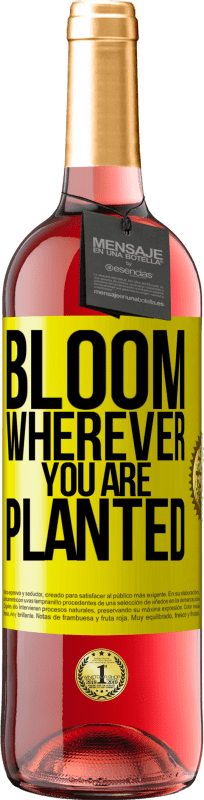 29,95 € | Rosé Wine ROSÉ Edition It blooms wherever you are planted Yellow Label. Customizable label Young wine Harvest 2024 Tempranillo