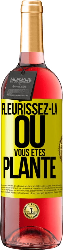 29,95 € | Vin rosé Édition ROSÉ Fleurissez- là où vous êtes planté Étiquette Jaune. Étiquette personnalisable Vin jeune Récolte 2024 Tempranillo