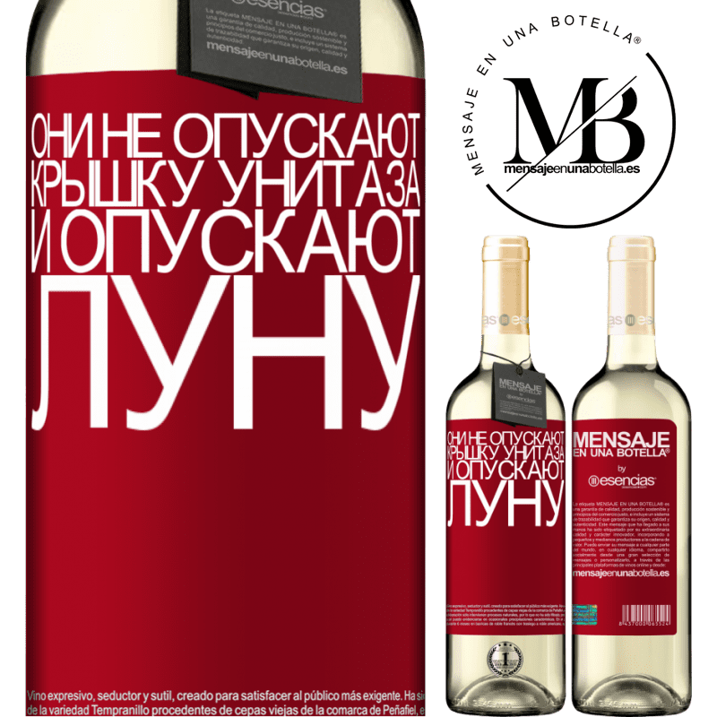«Они не опускают крышку унитаза и опускают луну» Издание WHITE