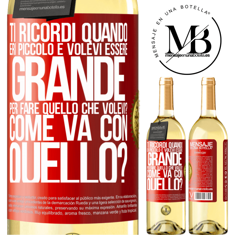 29,95 € Spedizione Gratuita | Vino bianco Edizione WHITE ti ricordi quando eri piccolo e volevi essere grande per fare quello che volevi? Come va con quello? Etichetta Rossa. Etichetta personalizzabile Vino giovane Raccogliere 2025 Verdejo