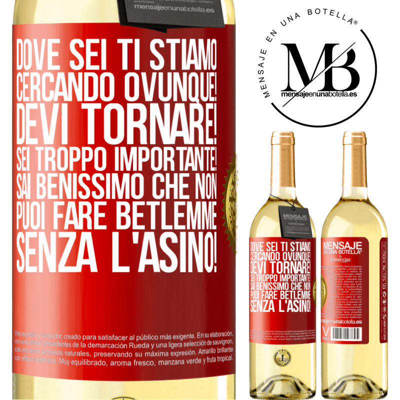 29,95 € Spedizione Gratuita | Vino bianco Edizione WHITE Dove sei Ti stiamo cercando ovunque! Devi tornare! Sei troppo importante! Sai benissimo che non puoi fare Betlemme senza Etichetta Rossa. Etichetta personalizzabile Vino giovane Raccogliere 2023 Verdejo