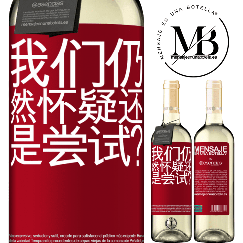 «我们仍然怀疑还是尝试？» WHITE版