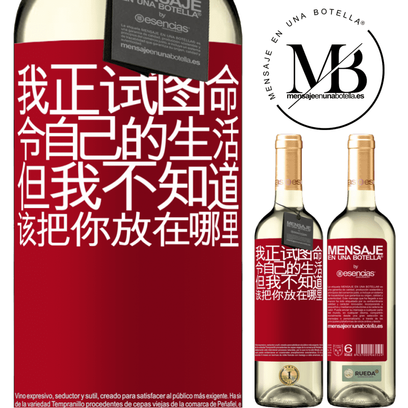 «我正试图命令自己的生活，但我不知道该把你放在哪里» WHITE版