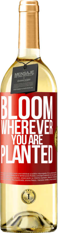 29,95 € | White Wine WHITE Edition It blooms wherever you are planted Red Label. Customizable label Young wine Harvest 2023 Verdejo