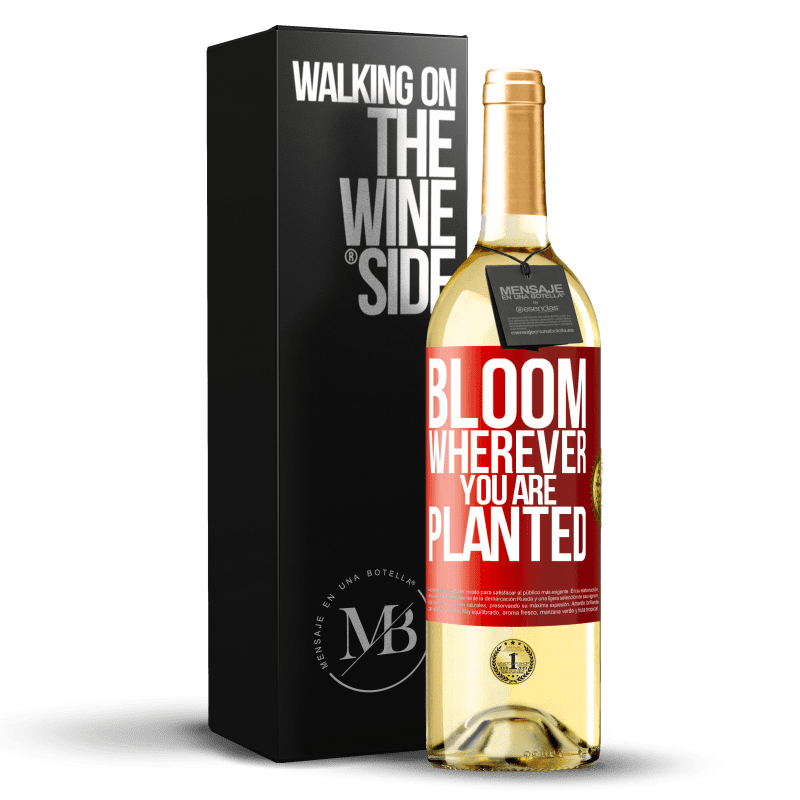 29,95 € Free Shipping | White Wine WHITE Edition It blooms wherever you are planted Red Label. Customizable label Young wine Harvest 2024 Verdejo